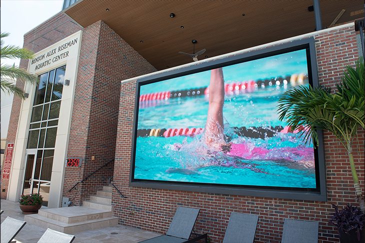 University Tampa Swim 730X486